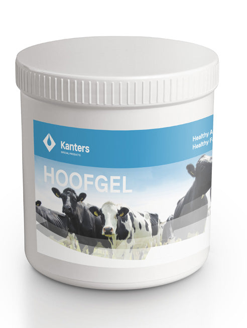 Kanters Hoof Gel (1000ml)