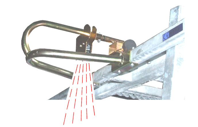 Automatic cow catch system