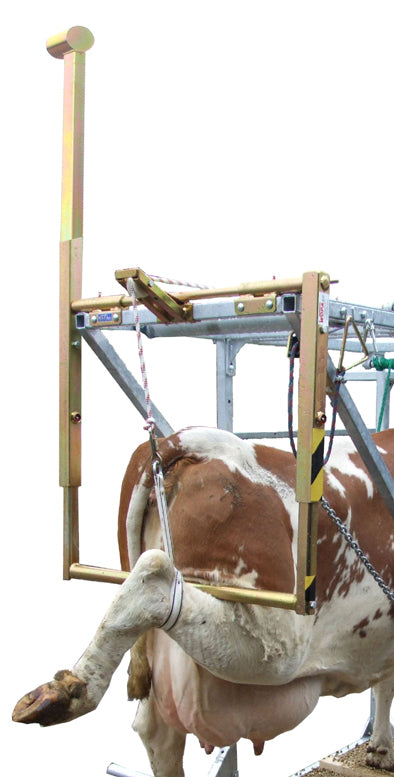 Backgate with counterweight